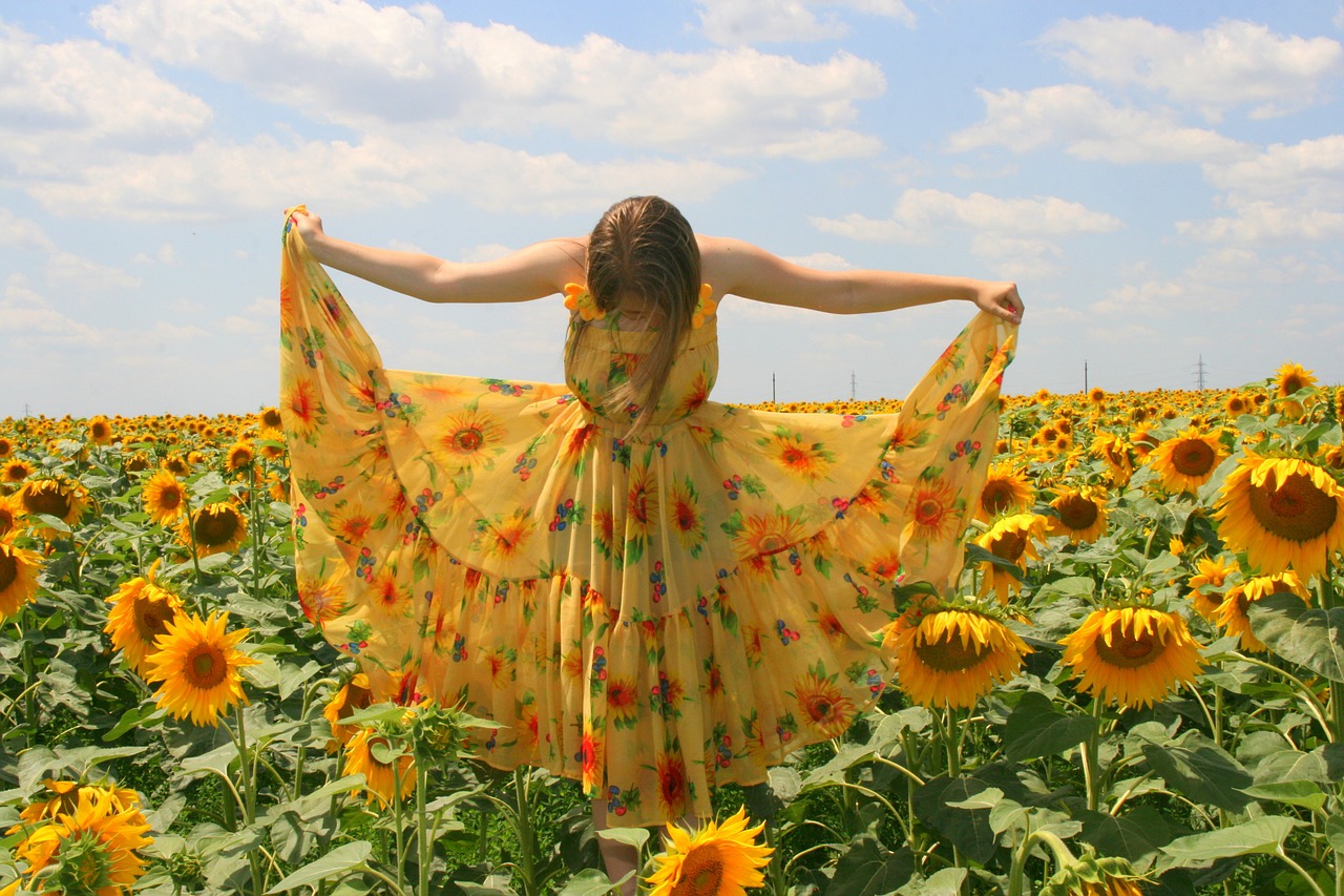 sunflower-834987_1280 Dress Competition
